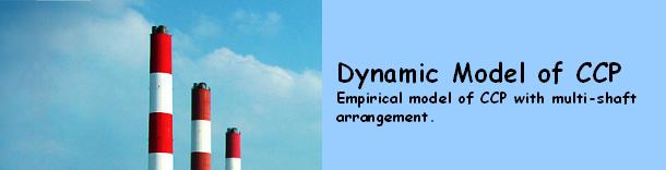 Dynamic Model of CCP